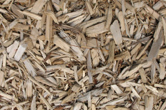 biomass boilers Woodmans Green